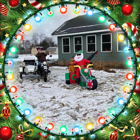 Meet your Posher, Bea - Picture 1 of 1